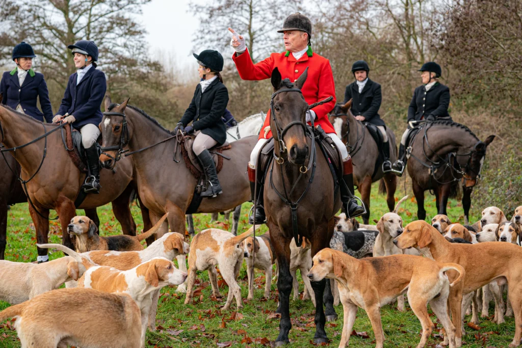 Trail Hunting Ban in Bold New Animal Welfare Plan